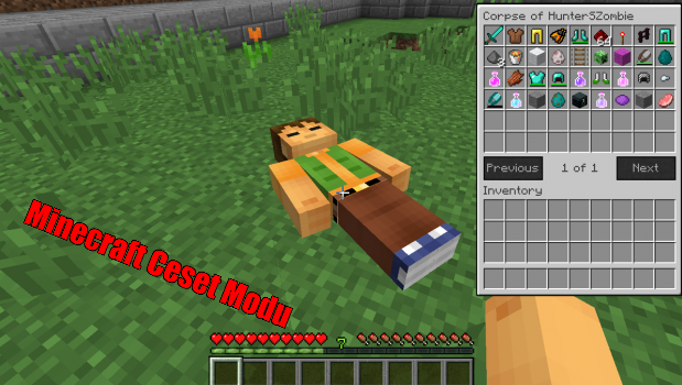 Minecraft Ceset Modu