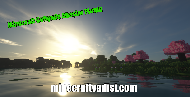 Minecraft Gelişmiş Ağaçlar Plugin