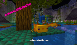 Minecraft Axolotl Krallığı Haritası