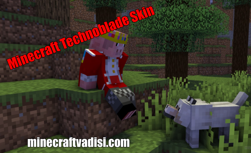 Minecraft Technoblade Skin