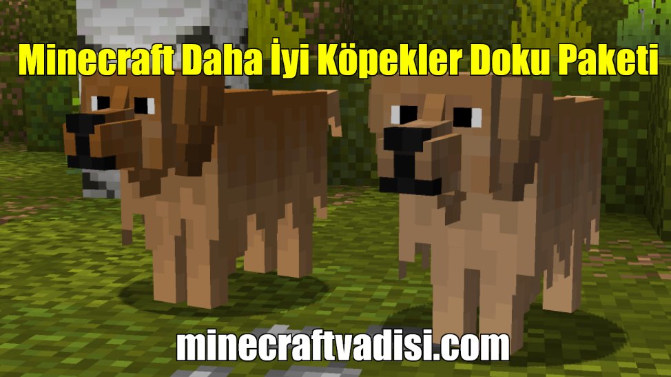 Minecraft Daha İyi Köpekler Doku Paketi