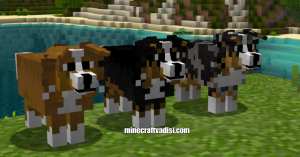 Minecraft Daha İyi Köpekler Doku Paketi