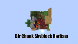 Bir Chunk Skyblock Haritası